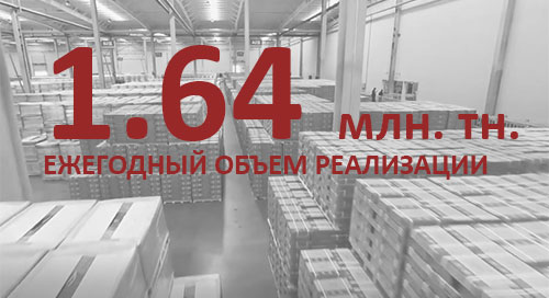 реализация-в-год